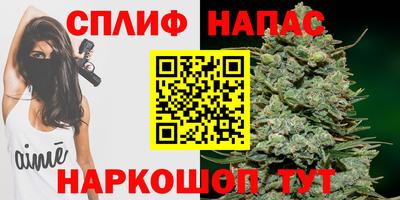 гидра Рузаевка
