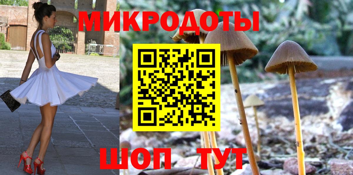 Галлюциногенные грибы Cubensis Острогожск